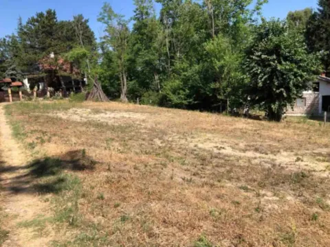 Sale, land lot, 1300m², Usije, Golubac - image 8