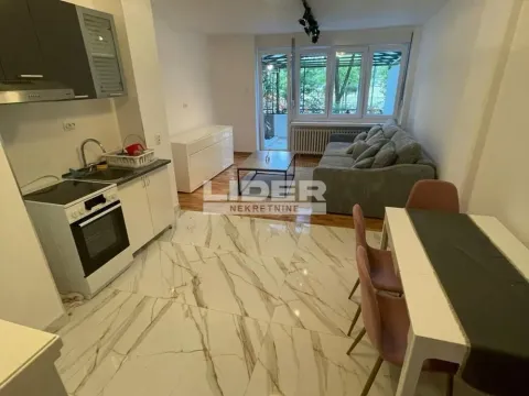 Izdavanje, dvosoban stan, 62m², Novi Beograd Sve Podlokacije, Beograd - image 5