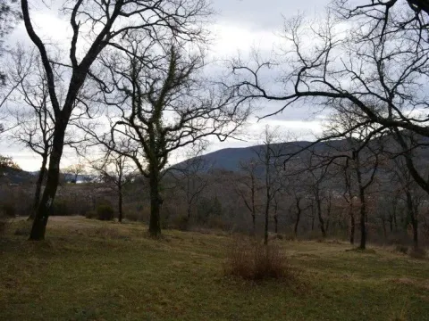 Sale, land lot, 9328m², Mojdež, Herceg Novi - image 12