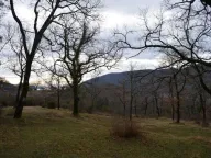 Sale, land lot, 9328m², Mojdež, Herceg Novi - image 12