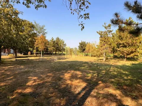 Sale, house, 356m², Čenej, Novi Sad Sve Podlokacije - image 3