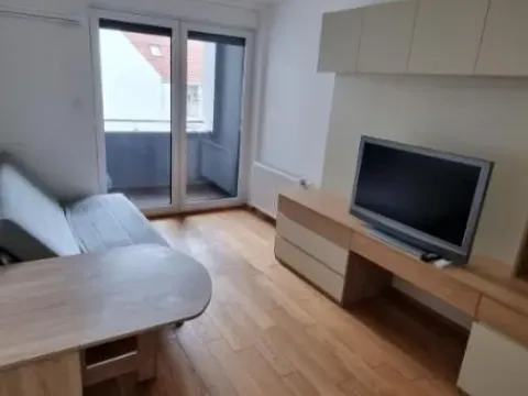 Izdavanje, garsonjera, 28m², Grbavica, Novi Sad Sve Podlokacije - image 2