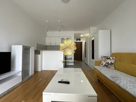 Izdavanje, jednosoban stan, 30m², Zabjelo, Podgorica - image 4