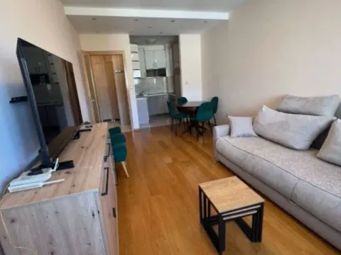 Izdavanje, jednosoban stan, 46m², Preko Morače, Podgorica - image 2