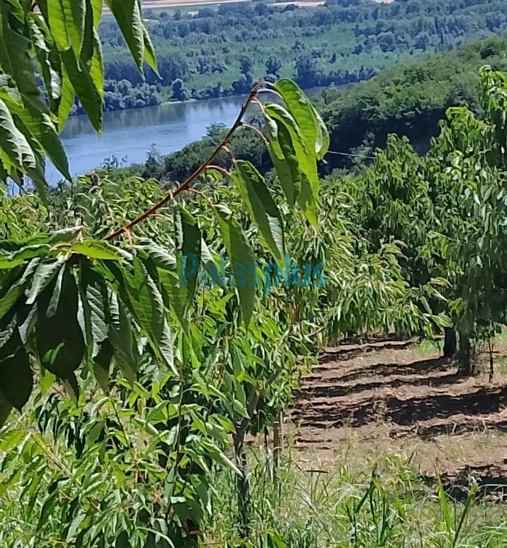 Sale, land lot, 2476m², Plavinci, Grocka