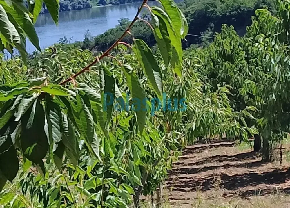 Prodaja, plac, 2476m², Plavinci, Grocka