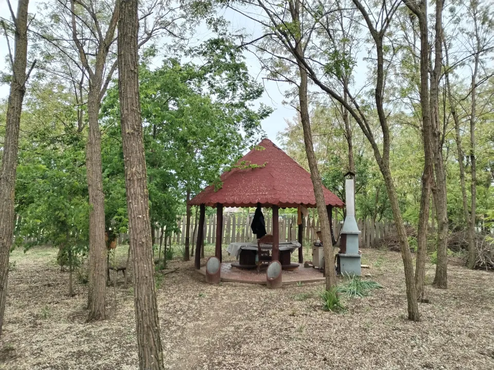 Prodaja, plac, 5310m², Palić, Subotica