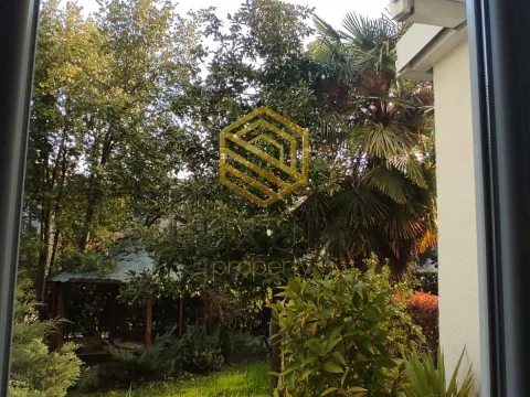 Izdavanje, jednosoban stan, 42m², Centar, Podgorica - image 3