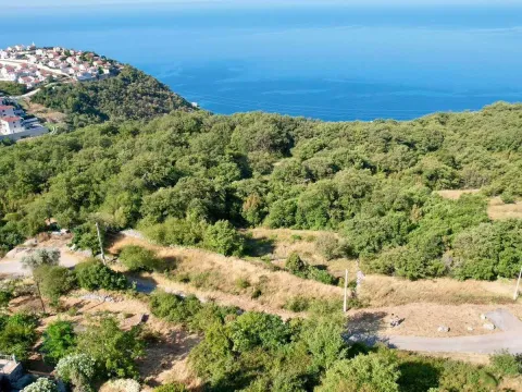 Sale, land lot, 7000m², Blizikuće, Budva - image 11