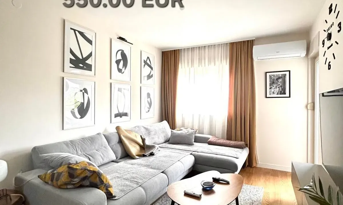 Rent, one bedroom apartment, 47m², Central Point, Podgorica