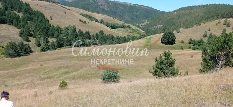 Prodaja, plac, 212100m², Divčibare, Valjevo