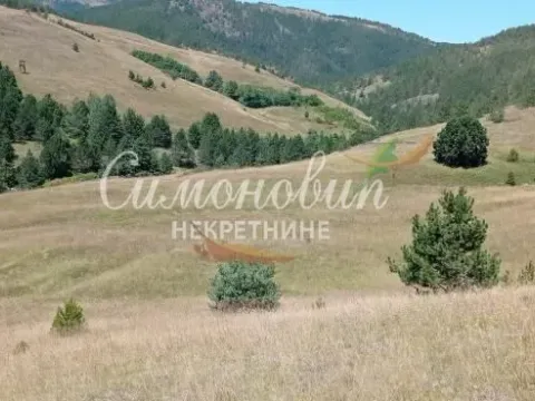 Sale, land lot, 212100m², Divčibare, Valjevo - image 5