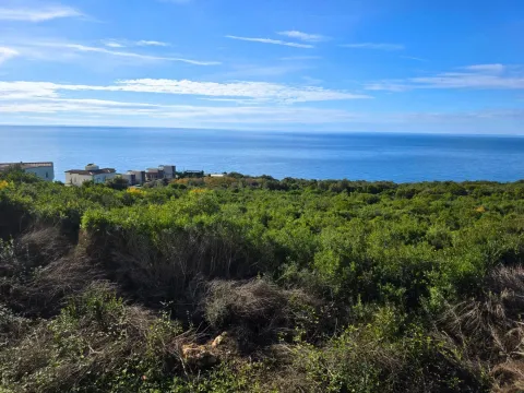 Prodaja, plac, 2000m², Krimovica, Kotor - image 6