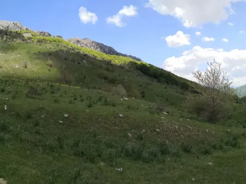 Prodaja, plac, 32013m², Gornje Lipovo, Kolašin - image 7