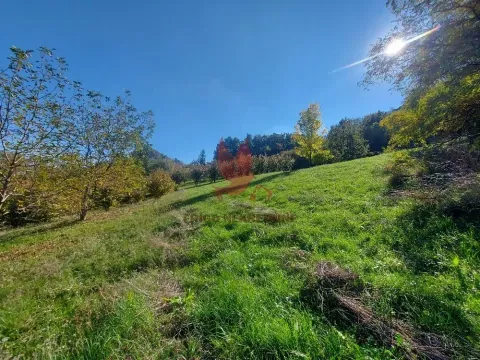 Sale, land lot, 5700m², Arandjelovac, Srbija - image 9