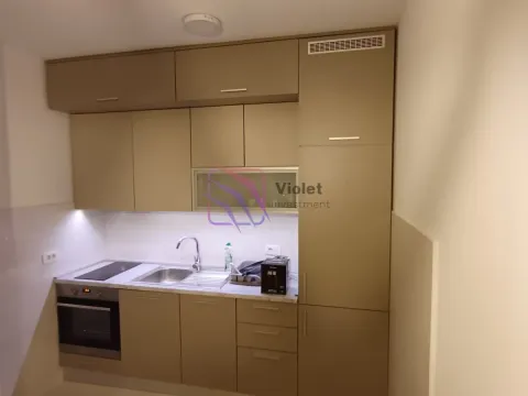 Izdavanje, jednosoban stan, 49m², Central Point, Podgorica - image 14