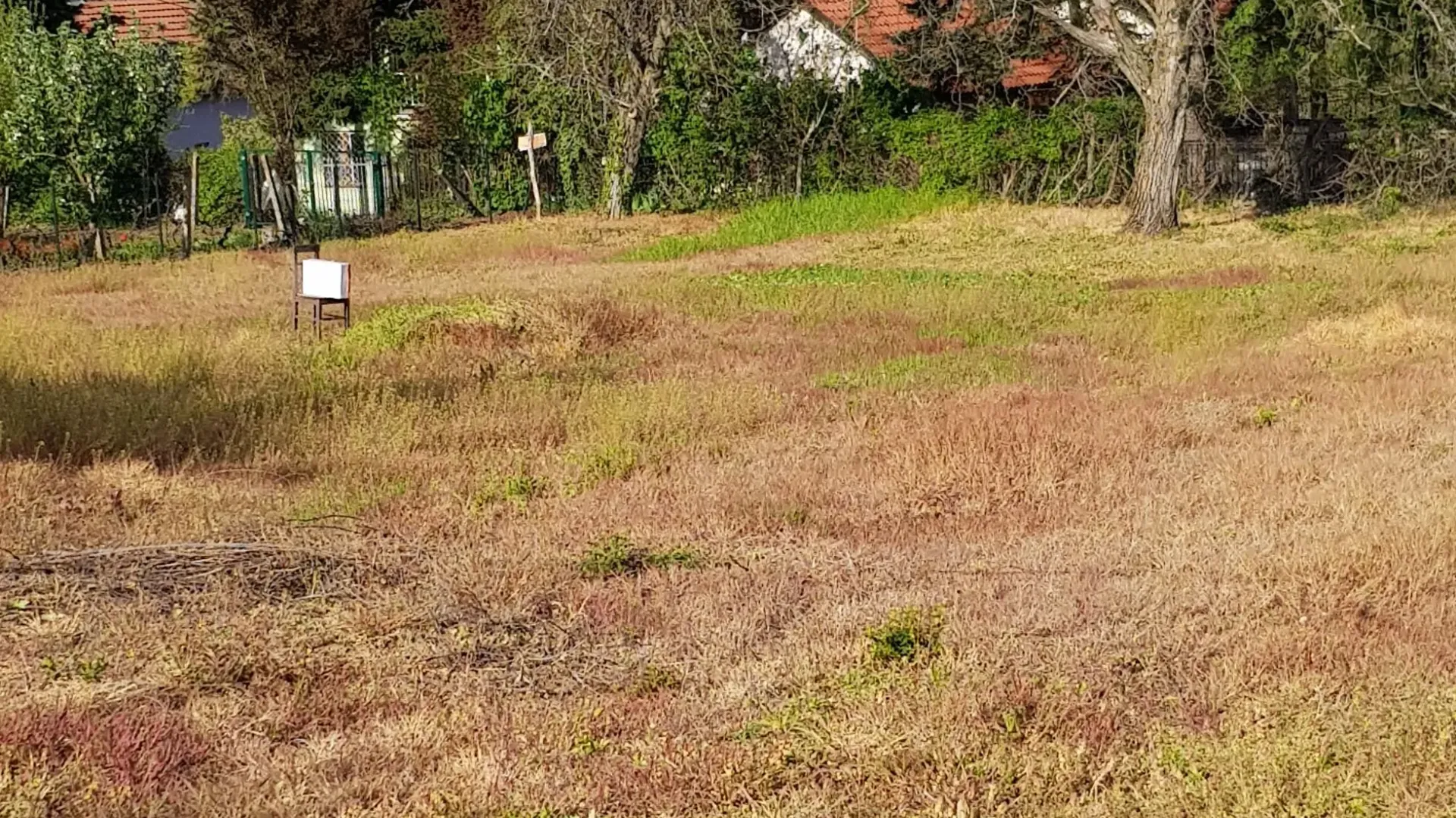 Prodaja, plac, 1700m², Fruška Gora, Novi Sad