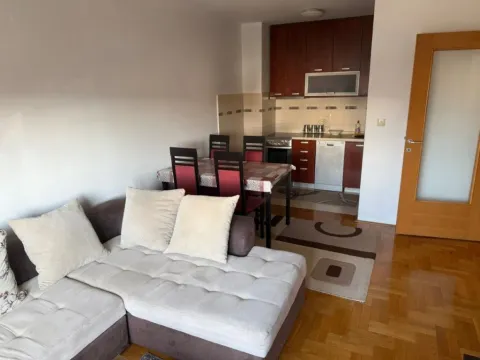 Izdavanje, jednosoban stan, 43m², Stari Aerodrom, Podgorica - image 3