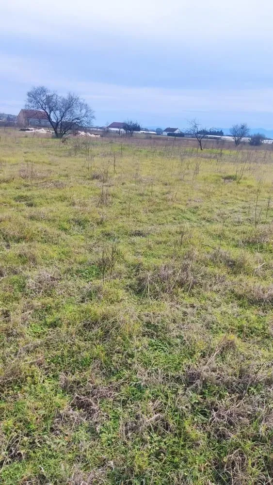 Prodaja, plac, 1500m², Zeta, Podgorica