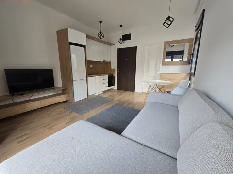 Prodaja, garsonjera, 24m², Zagorič, Podgorica - image 4