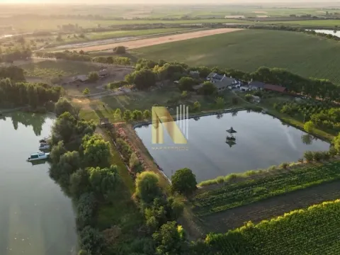 Sale, house, 230m², Srbobran, Novi Sad - image 68