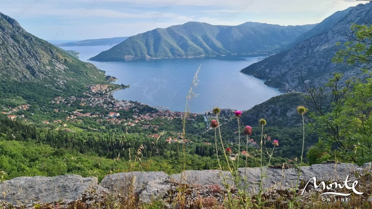 Prodaja, plac, 1800m², Risan, Kotor