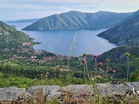 Prodaja, plac, 1800m², Risan, Kotor - image 9