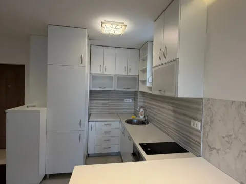 Prodaja, jednosoban stan, 36m², Baston, Podgorica - image 3