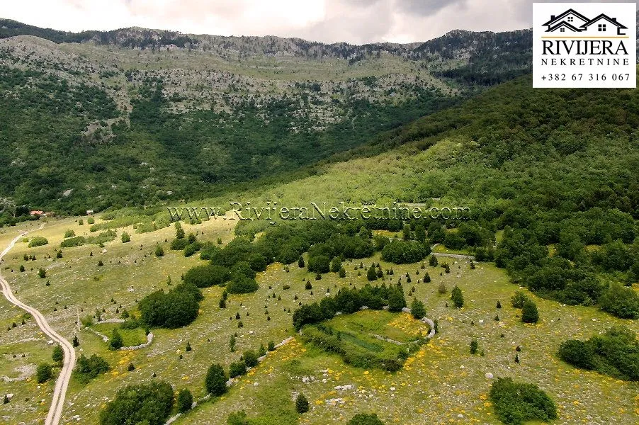 Prodaja, plac, 14200m², Vrbanj, Herceg Novi