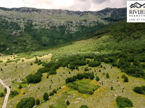 Sale, land lot, 14200m², Vrbanj, Herceg Novi - image 5