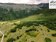 Sale, land lot, 14200m², Vrbanj, Herceg Novi - image 5