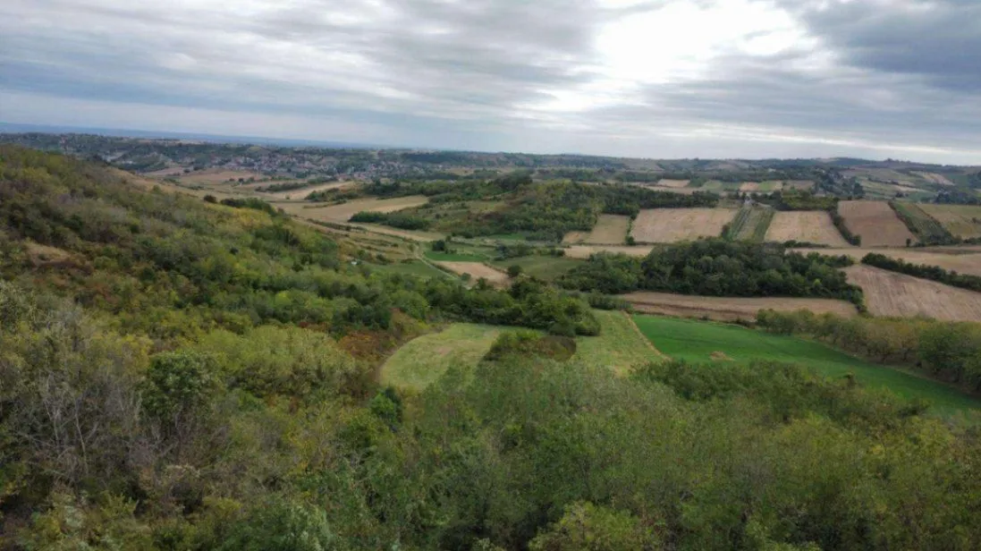 Prodaja, plac, 12000m², Alibegovac, Petrovaradin