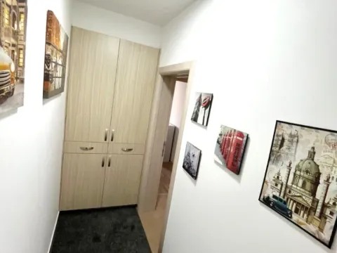 Izdavanje, dvosoban stan, 50m², Preko Morače, Podgorica - image 10