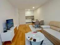 Izdavanje, jednosoban stan, 49m², Central Point, Podgorica - image 4