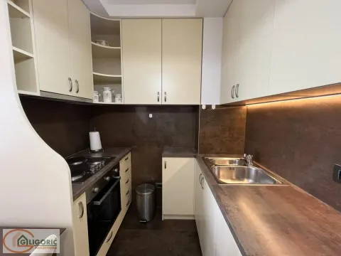 Izdavanje, dvosoban stan, 45m², Zvezdara Sve Podlokacije, Beograd - image 5