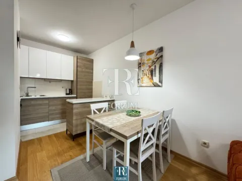 Izdavanje, jednosoban stan, 45m², City Kvart, Podgorica - image 4