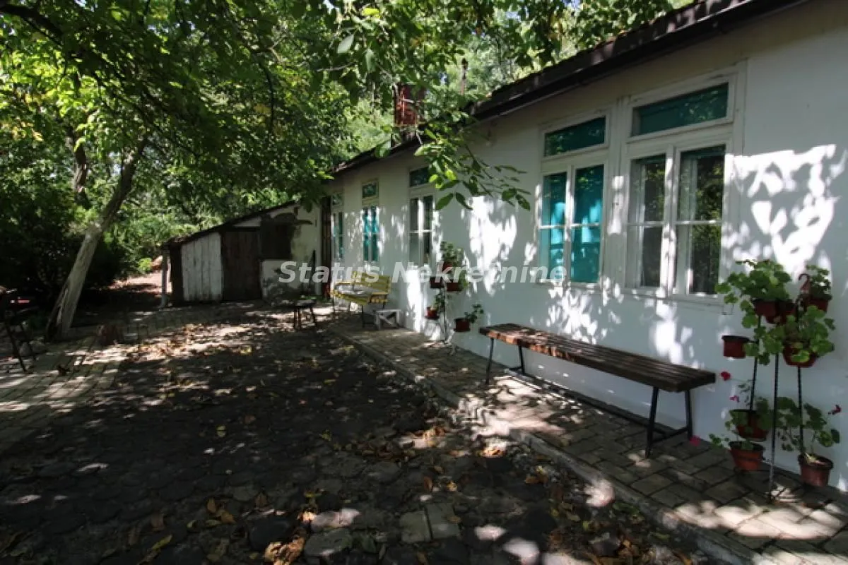 View of the yard and the exterior of the house surrounded by greenery.