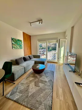 Rent, one bedroom apartment, 43m², Boreti, Budva - image 1