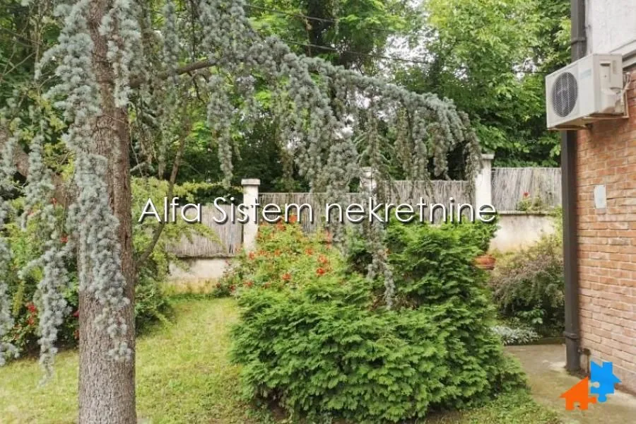 Green yard with trees and plants next to the house.