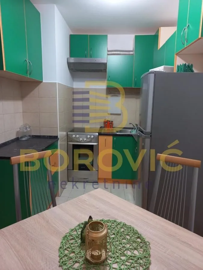 Rent, two bedroom apartment, 56m², Novi Beograd Blok 45, Novi Beograd Sve Podlokacije
