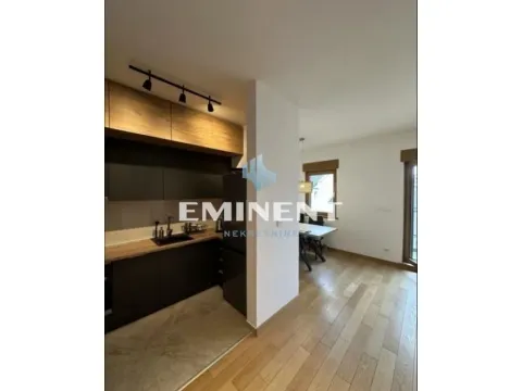 Rent, two bedroom apartment, 55m², Južni Bulevar, Vračar Sve Podlokacije - image 5