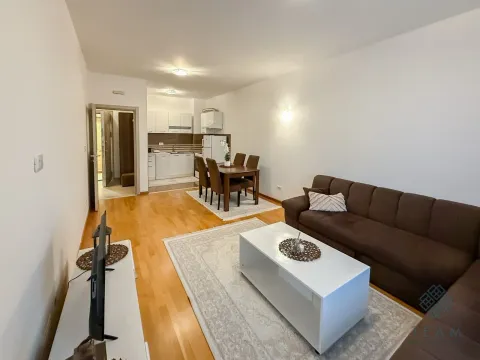 Izdavanje, jednosoban stan, 50m², Stari Aerodrom, Podgorica - image 4