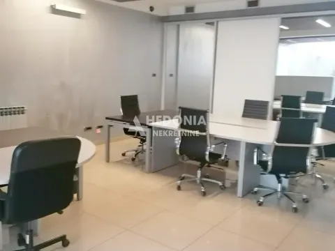 Rent, office space, 600m², Zemun Centar, Zemun Sve Podlokacije - image 4
