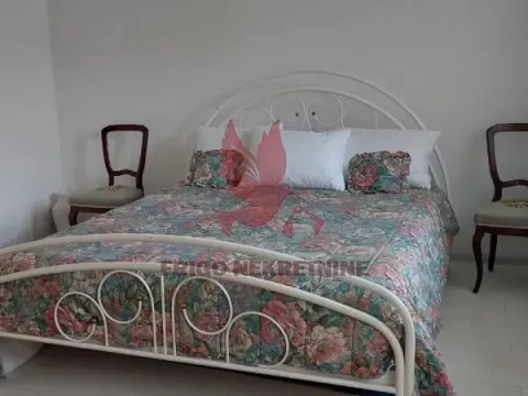 Prodaja, kuća, 1000m², Selters Banja, Mladenovac - image 17