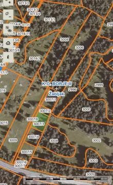 Prodaja, plac, 6072m², Borje, Žabljak - image 2