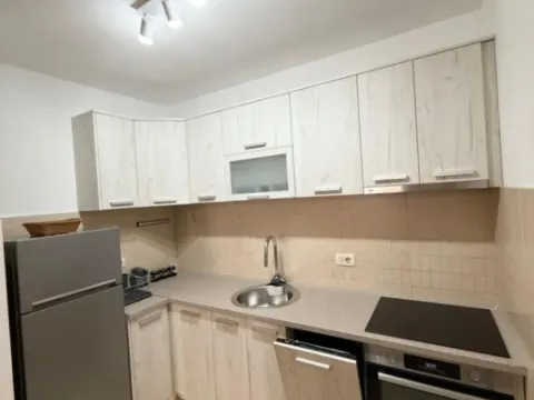 Izdavanje, jednosoban stan, 44m², Stari Aerodrom, Podgorica - image 5