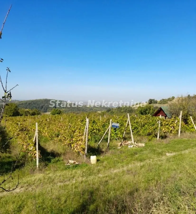 Prodaja, plac, 2900m², Ledinci, Petrovaradin