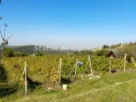 Sale, land lot, 29m², Ledinci, Petrovaradin - image 5