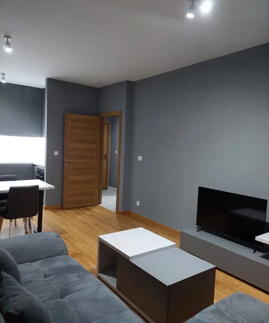 Rent, one bedroom apartment, 44m², New City, Podgorica