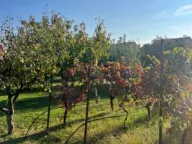 Sale, land lot, 700m², Dalmatinska ulica, Podgorica - image 3